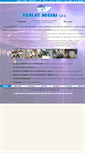 Mobile Screenshot of ferlatacciai.com